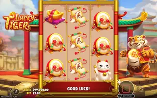 Lucky Tiger – Feature in play