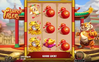Lucky Tiger – Feature in play