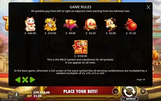 Lucky Tiger – Paytable