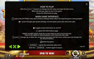 Lucky Tiger – Game rules