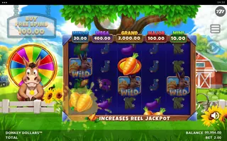 Donkey Dollars – Feature in play