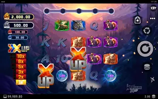 Wolf Prime X UP – Feature in play