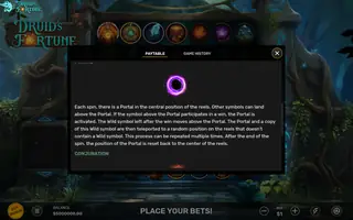 Druid’s Fortune – Game rules