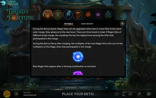 Druid’s Fortune – Game rules