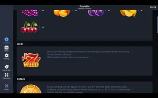 Piggy Bank: Coinstorm – Game rules