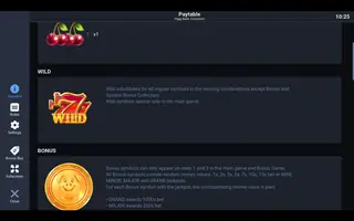 Piggy Bank: Coinstorm – Game rules