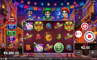 Viva Fiesta – Feature in play