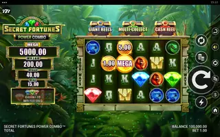Secret Fortunes Power Combo – Game rules