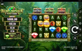 Secret Fortunes Power Combo – Game rules