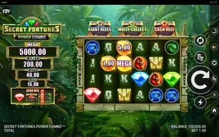 Secret Fortunes Power Combo – Game rules