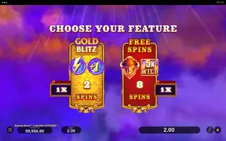 Blazing Bison : Gold Blitz Extreme – Bonus round