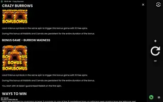 Crazy Burrows – Game rules