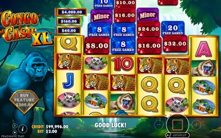 Congo Cash XL – Feature in play