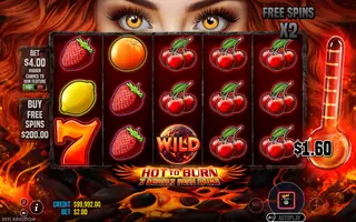 Hot to Burn – 7 Deadly Free Spins – Winning spin