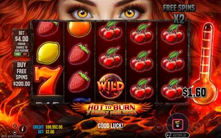 Hot to Burn – 7 Deadly Free Spins – Winning spin