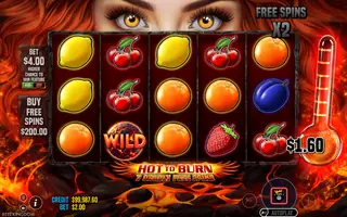 Hot to Burn – 7 Deadly Free Spins – Winning spin