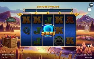 Bison Boom – Base game