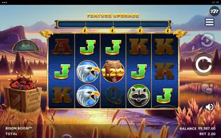 Bison Boom – Winning spin