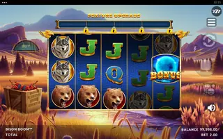Bison Boom – Feature in play