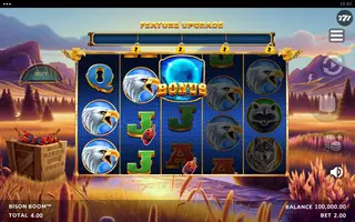 Bison Boom – Feature in play