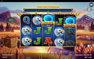 Bison Boom – Feature in play