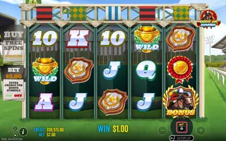 Odds On Winner – Winning spin