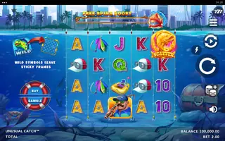 Unusual Catch – Base game