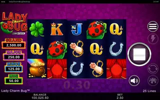 Lady Charm Bug – Winning spin