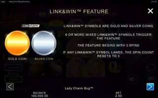 Lady Charm Bug – Game rules