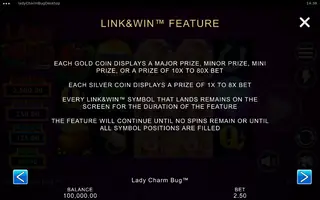 Lady Charm Bug – Game rules