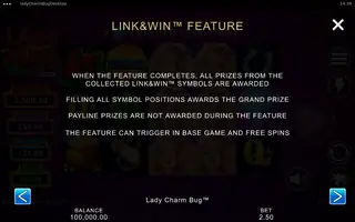 Lady Charm Bug – Game rules