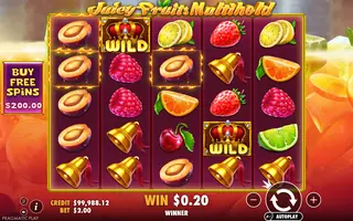Juicy Fruits Multihold – Winning spin