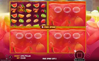 Juicy Fruits Multihold – Bonus round
