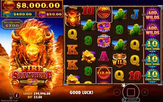 Fire Stampede – Feature in play