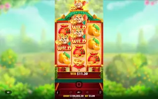 Ratinho Sortudo – Winning spin