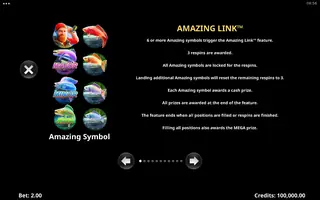 Amazing Link Frenzy – Game rules