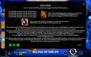 Floating Dragon New Year Festival Ultra Megaways Hold & Spin – Game rules