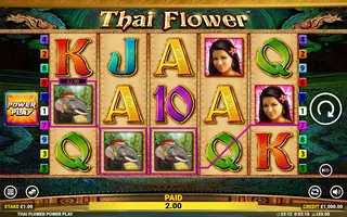 Thai Flower Power Play – Winning spin