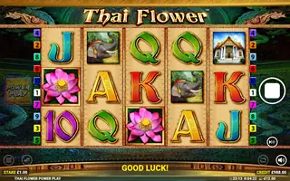 Thai Flower Power Play – Feature in play