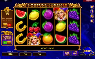 Fortune Joker 10 – Feature in play