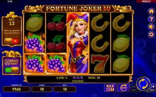 Fortune Joker 10 – Feature in play