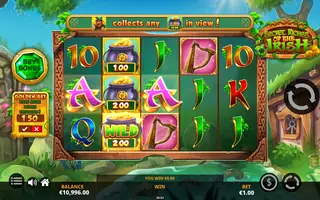 Secret Riches of the Irish – Feature in play