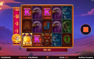Buffalo Freedom DoubleMax – Winning spin