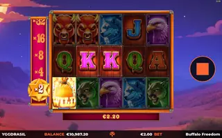 Buffalo Freedom DoubleMax – Winning spin