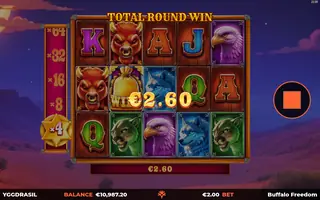 Buffalo Freedom DoubleMax – Winning spin