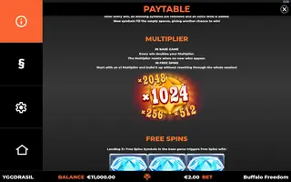 Buffalo Freedom DoubleMax – Game rules