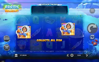 Arctic Catch – Feature in play