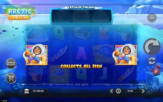 Arctic Catch – Feature in play