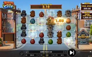 Birds in the City – Winning spin