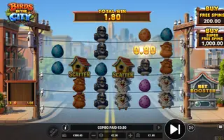 Birds in the City – Winning spin